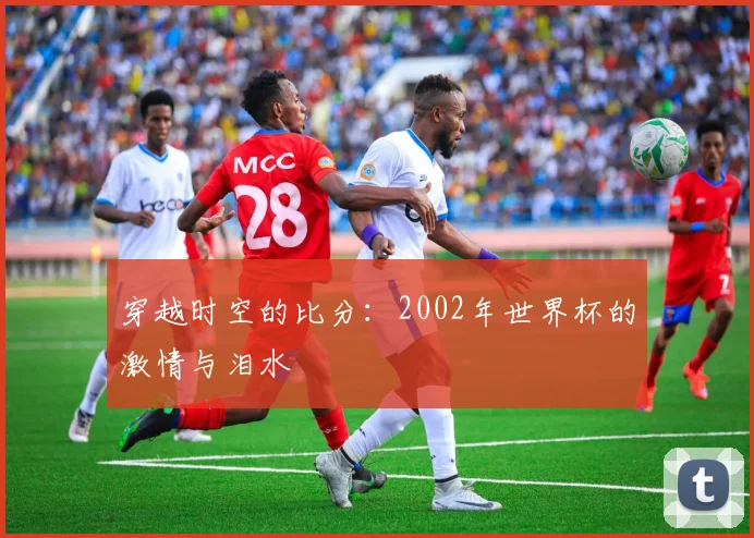 穿越时空的比分：2002年世界杯的激情与泪水