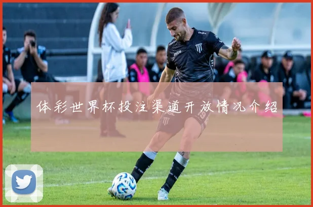 体彩世界杯投注渠道开放情况介绍